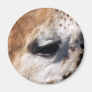 Suche nach giraffe magnete Jede person