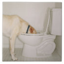 Suche nach toilette fliesen Spaß