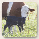 Suche nach zusammengehörigkeit untersetzer Sorgfalt