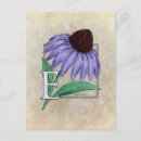 Suche nach echinacea postkarten Natur