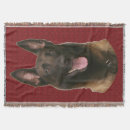 Suche nach belgische malinois decken Tier
