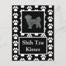 Suche nach shih tzu postkarten Niedlich