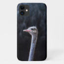 Suche nach strauß iphone hüllen Lustig