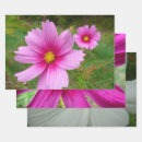 Suche nach kosmos geschenkpapier Blume