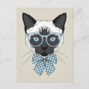 Suche nach siamese cat postkarten Lustig