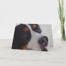 Suche nach traurige augen postkarten Liebe