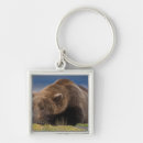 Suche nach grizzlybär schlüsselanhänger Fleischfresser