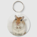 Suche nach gerbil schlüsselanhänger Niedlich