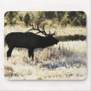 Suche nach in yellowstone mousepads Stehend