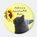 Suche nach entspannung magnete Inspirierend