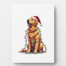 Suche nach golden retriever fotoplatten Weimaraner