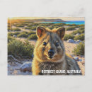 Suche nach quokka postkarten Australie