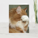 Suche nach mau karten Tier