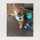 Suche nach shiba puzzle Welpe