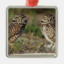 Suche nach sanibel ornamente Vogel