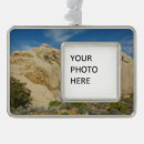 Suche nach joshua tree ornamente Natur