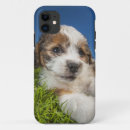 Suche nach kolumbien iphone hüllen Kanada