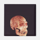 Suche nach homo magnete Menschen