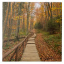 Suche nach bunter baum fliesen Herbst