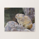 Suche nach nagetier puzzle Natur