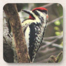 Suche nach spechte untersetzer Natur