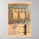 Suche nach braune eule poster Herbst