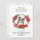 Suche nach herdenhund karten Australischer hirte