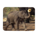 Suche nach magneten asien magnete Thailand