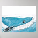 Suche nach blauwale poster Ozean