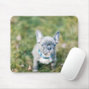 Suche nach franziskaner mousepads Französischer bulldog