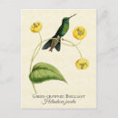 Suche nach hummingbird postkarten Blumenreich