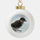 Suche nach wildvogel ornamente Vogelvogel