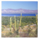 Suche nach baja fliesen Landschaft