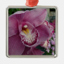 Suche nach orchideen ornamente Jede person