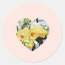 Suche nach gelbe blume aufkleber Orchidee