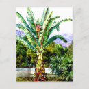 Suche nach teneriffa postkarten Baum