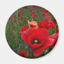 Suche nach attraktiv magnete Foto