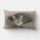 Suche nach pussycat kissen Kitty