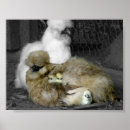 Suche nach pinkeln poster Tiere