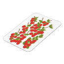 Suche nach himbeeren magnete Darstellung