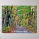 Suche nach waldweg kunst Fotografie