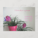 Suche nach sprechen sie postkarten Fotografie