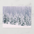 Suche nach schneebedeckte bäume postkarten Im freien
