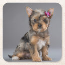 Suche nach yorkshire terrier untersetzer Süß