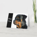 Suche nach rottweiler karten Haustiere