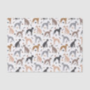 Suche nach windhund seidenpapier Haustiere