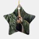 Suche nach monkey ornamente Affe