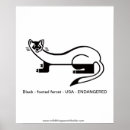 Suche nach frettchen poster Senf