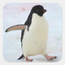Suche nach antarktischer pinguin aufkleber Antarktische halbinsel