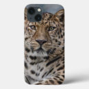 Suche nach leopard ipad hüllen Leoparden